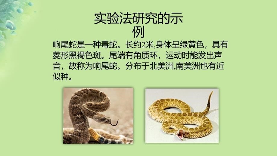 七年级生物上册 1.2.2《生物学研究的基本方法》 （新版）北师大版_第5页