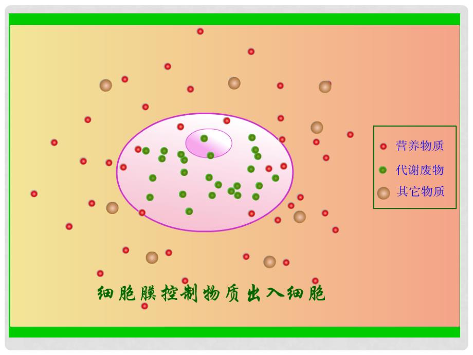 江苏省高中生物 第四章 第2节 生物膜的流动镶嵌模型优质课课件4 新人教版必修1_第3页