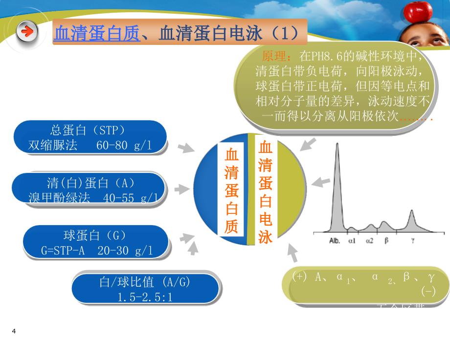 《医学生化临床检验》PPT课件.ppt_第4页