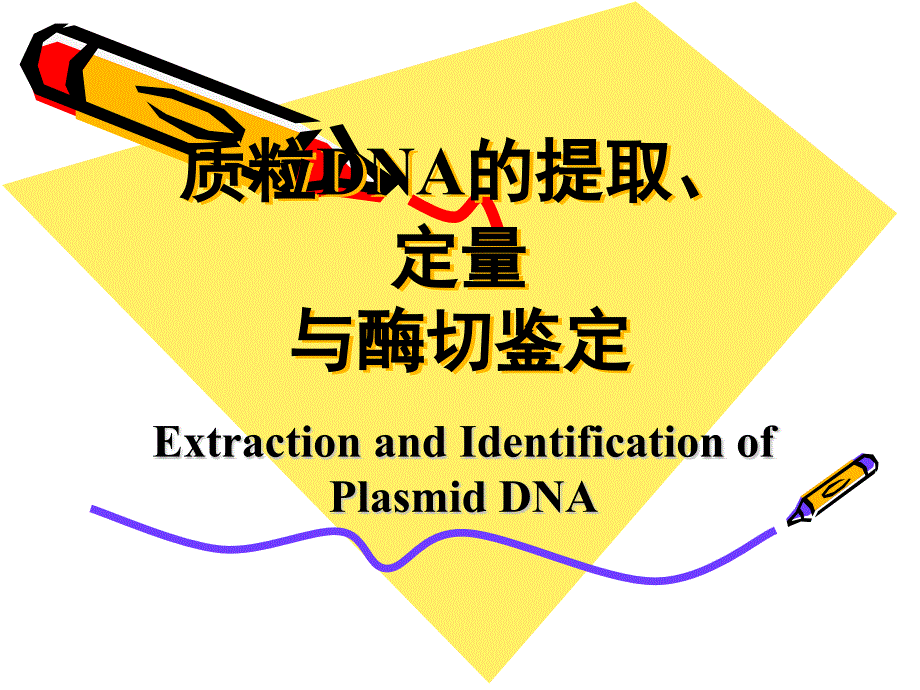 质粒提取、定量与酶切鉴定_第1页