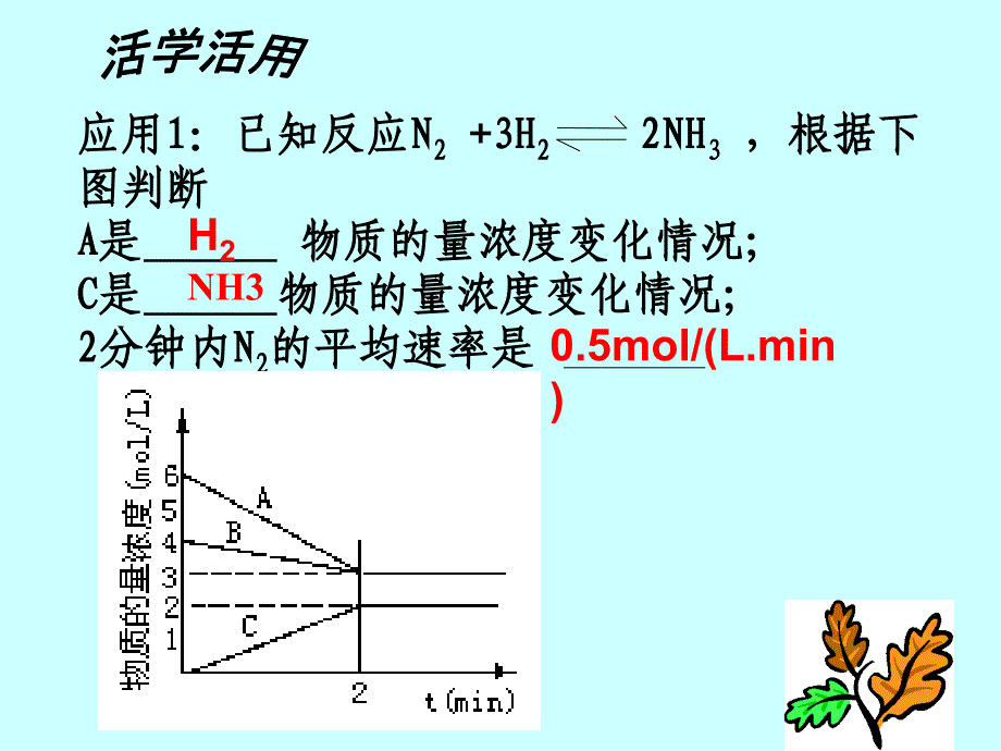 影响化学反应的因素_第4页