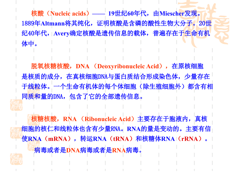 动物生物化学4核酸_第4页