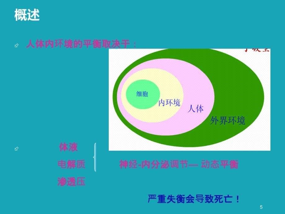 外护水电解质ppt课件_第5页