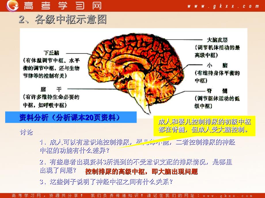 高中生物《通过神经系统的调节》课件3（23张PPT）（人教版必修3）_第3页