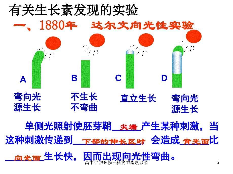 高中生物必修三植物的激素调节课件_第5页