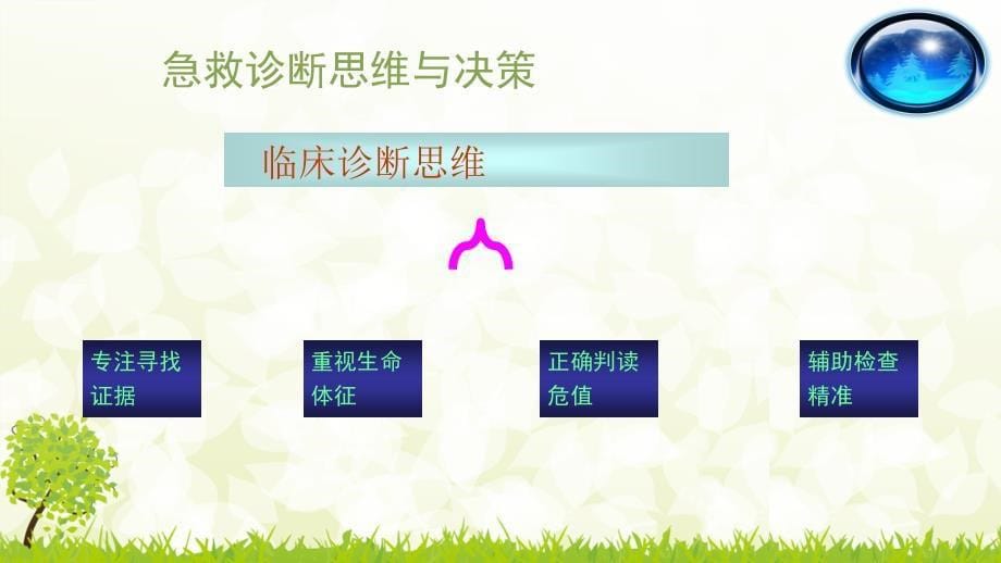 常见急危重症的识别和急救处理原则及技能PPT课件_第5页