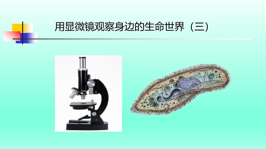 《用显微镜观察身边的生命世界(三)》_第1页