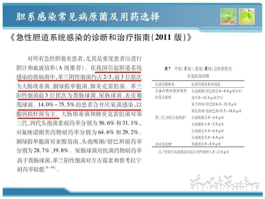 临床病例分析：一例肝门部占位病变并发胆道梗阻的药学监护_第5页