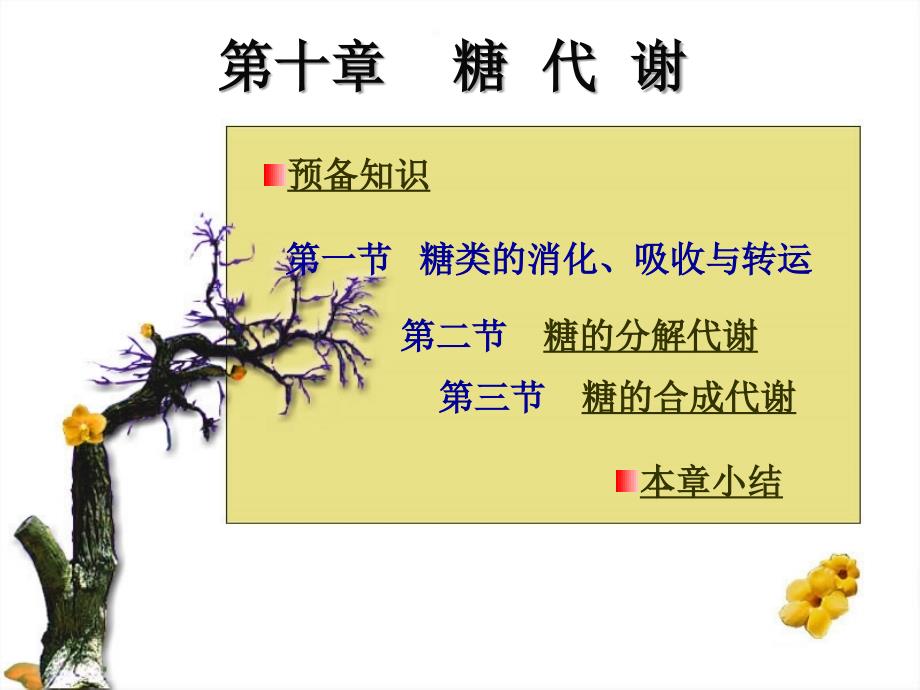 第二节糖的分解代谢_第1页