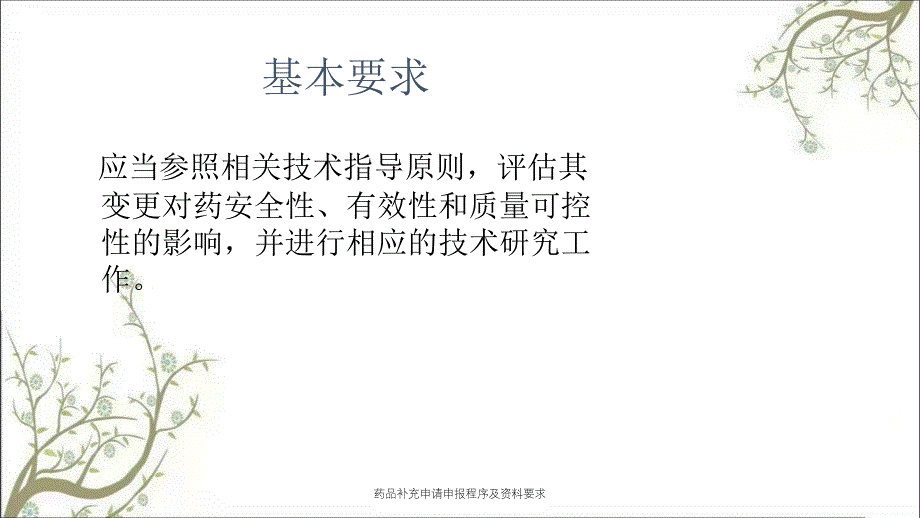 药品补充申请申报程序及资料要求_第3页