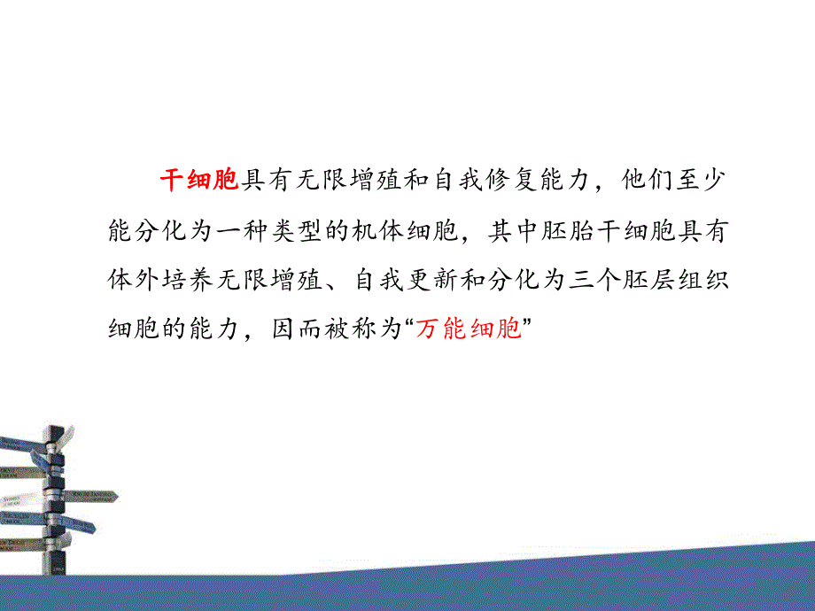 第15章动物干细胞技术.ppt_第3页