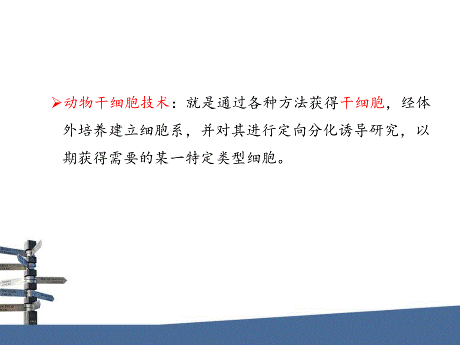 第15章动物干细胞技术.ppt_第4页