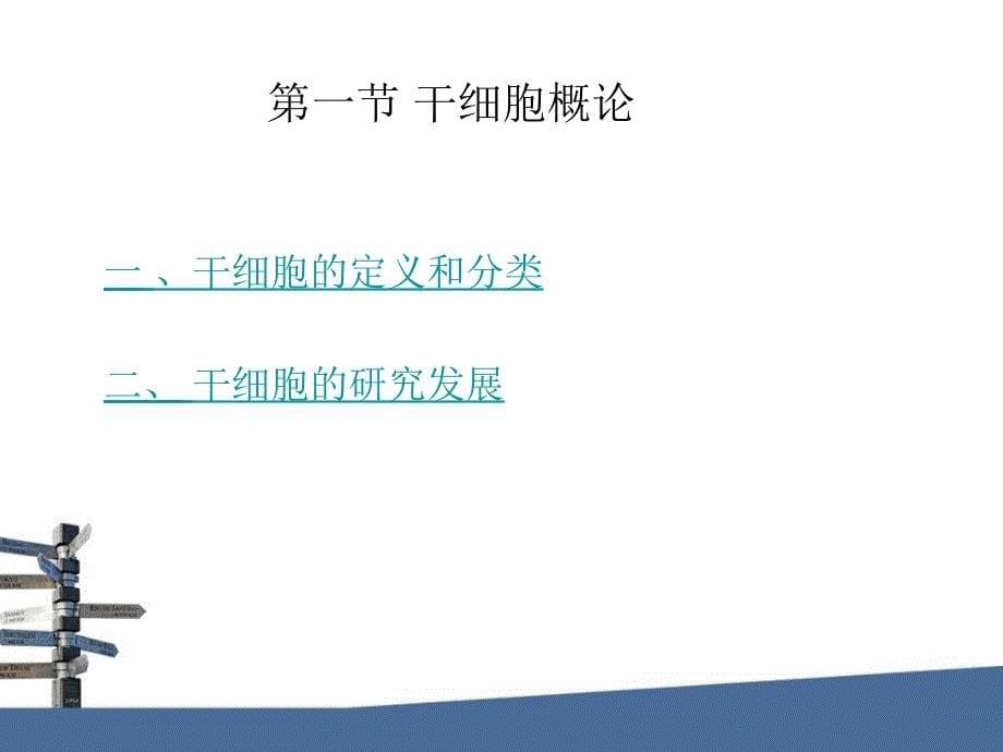 第15章动物干细胞技术.ppt_第5页