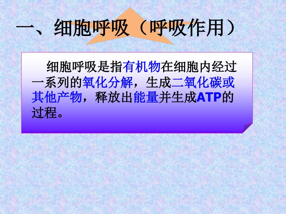 细胞呼吸市优质课课堂PPT_第4页