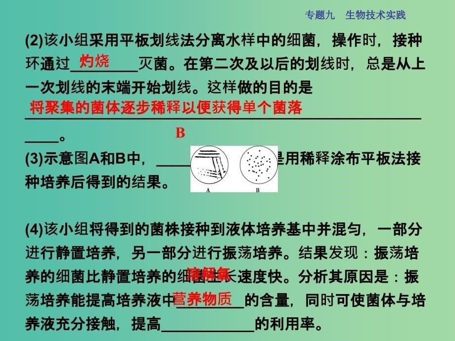 高三生物二轮复习 第一部分 专题九 生物技术实践 第1讲 微生物的利用和生物技术在食品加工中的应用课件.ppt_第5页