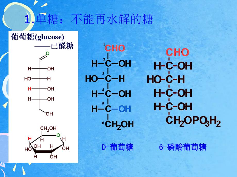 糖类与糖代谢PPT课件_第3页