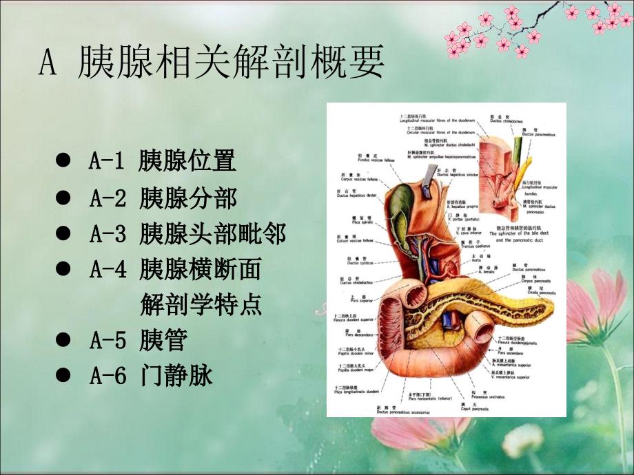 胰头癌影像学表现_第3页