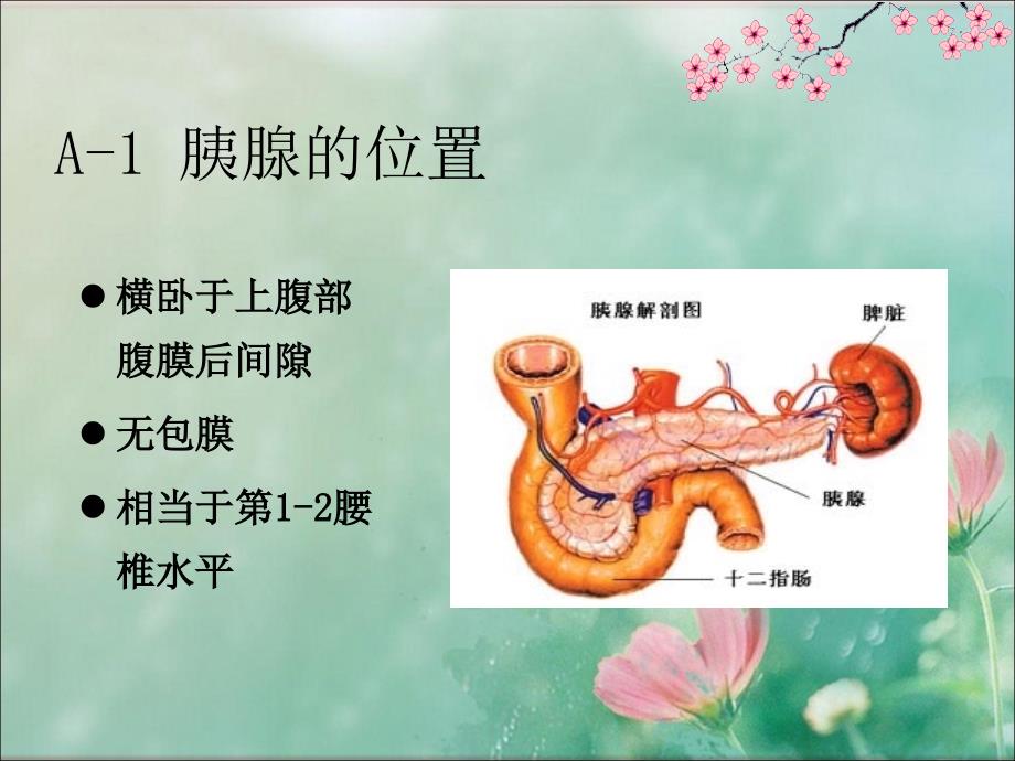 胰头癌影像学表现_第4页