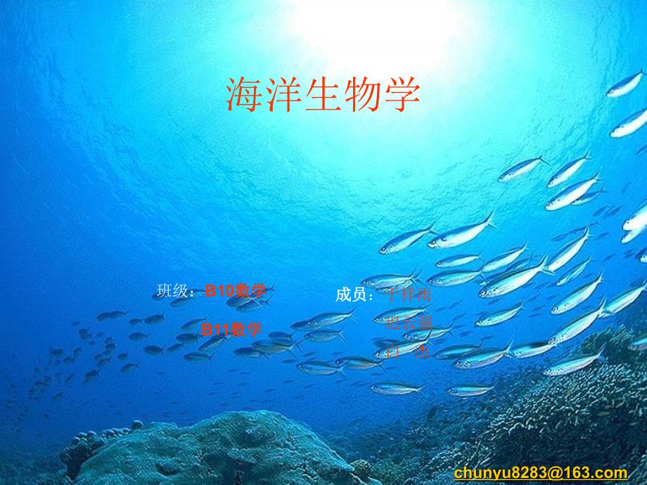 海洋生物-几种鱼类_第1页