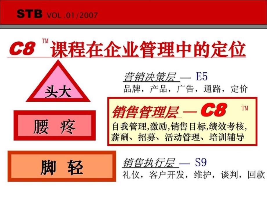 名企内训销售团队管理及团队打造PPT88_第3页