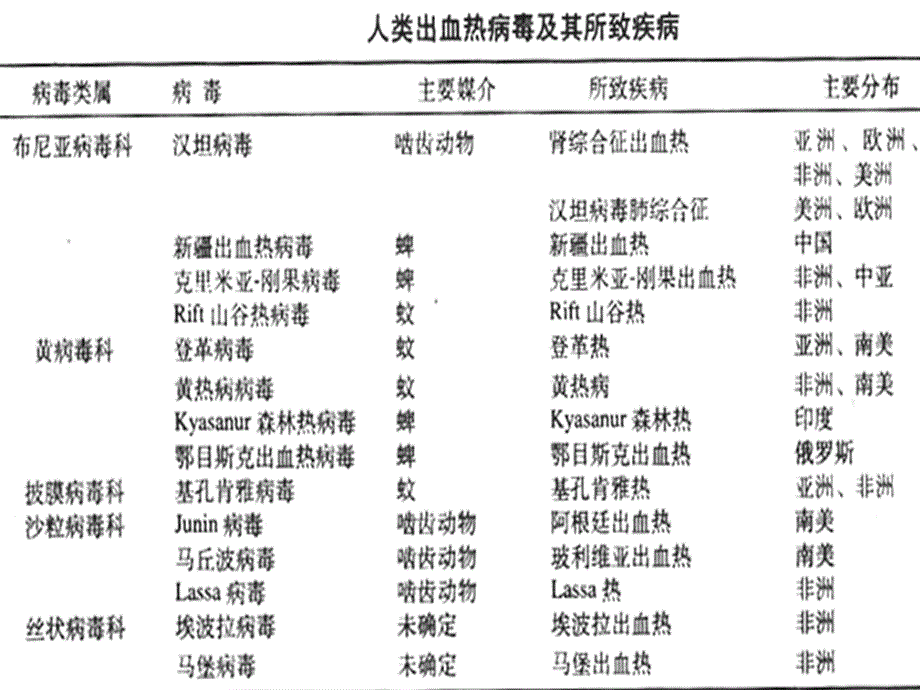 第3章出血热病毒ppt课件_第3页