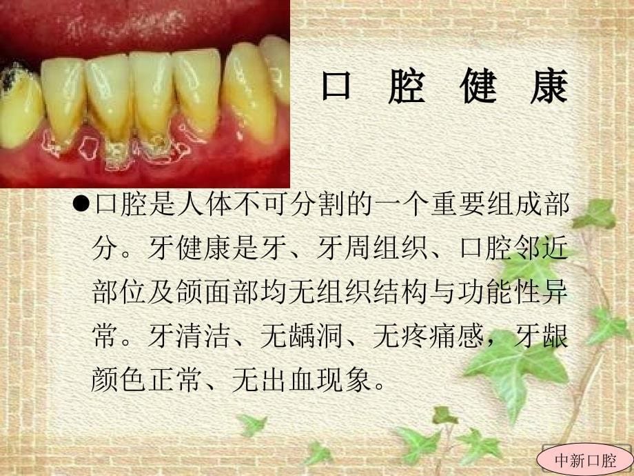 青少年口腔保健知识讲座_第5页