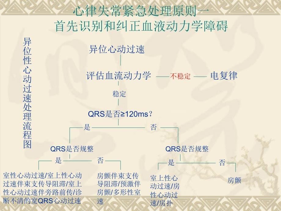 小儿心律常的急正式版ppt课件_第5页