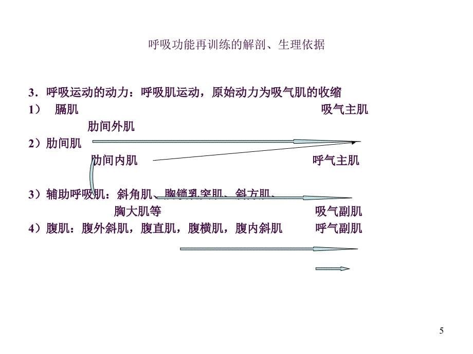 肺康复ppt课件_第5页