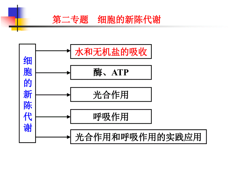 细胞的新陈代谢-水和无机盐的吸收.ppt_第2页