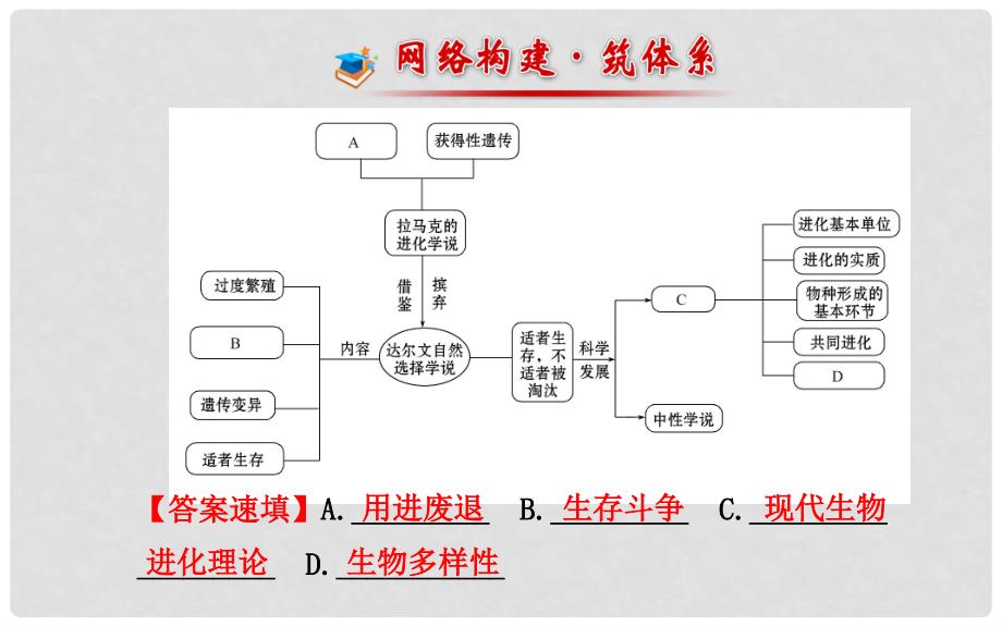 高中生物 第7章 现代生物进化理论阶段复习课 新人教版必修2_第2页