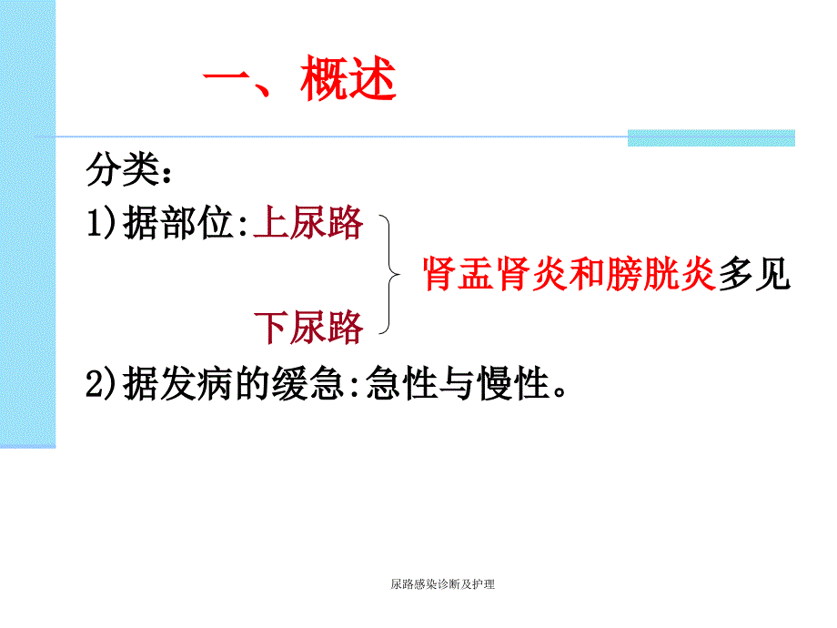 尿路感染诊断及护理_第4页