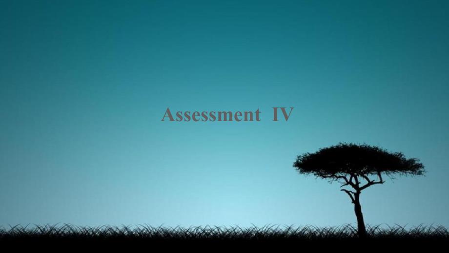 Assessment课件_第1页