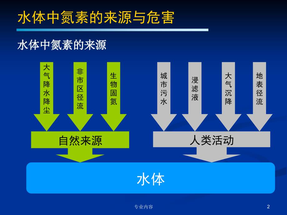 污水脱氮原理与技术荟萃材料_第2页