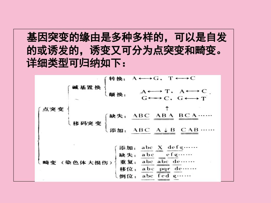 基因突变的机制ppt课件_第2页