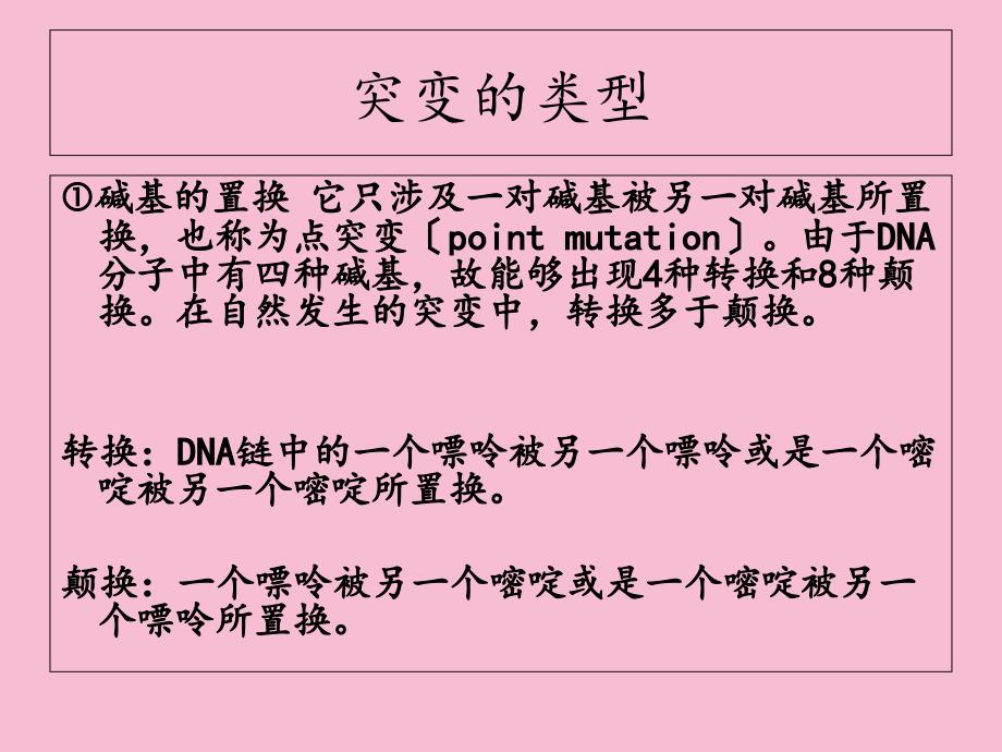 基因突变的机制ppt课件_第3页