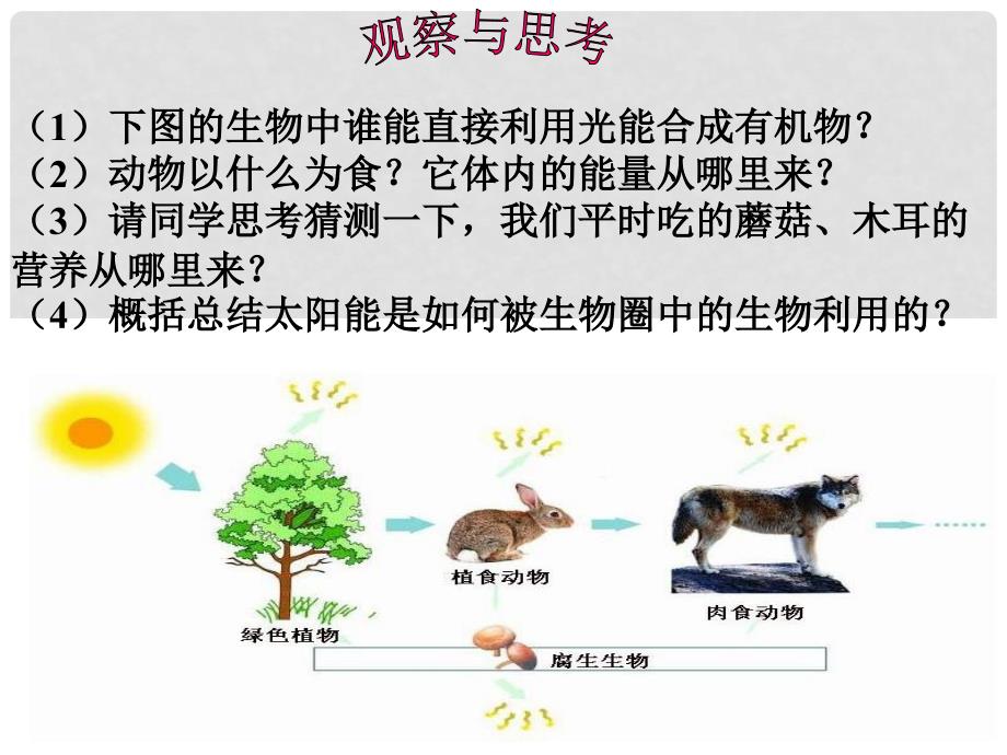 七年级生物上册 第三单元 第七章 第1节 绿色植物在生物圈中的作用课件（2） 北师大版_第3页