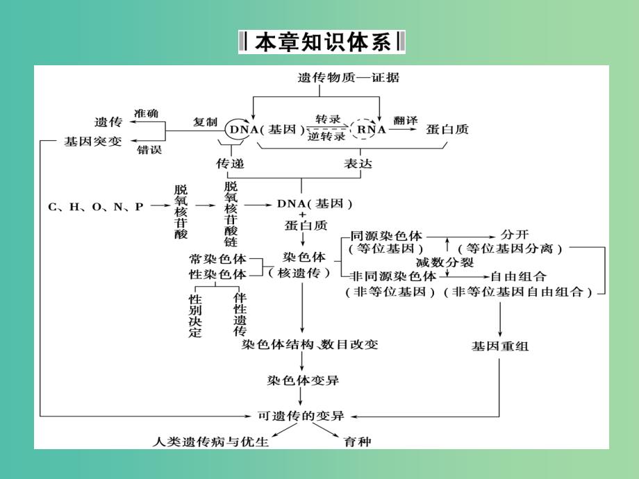 高中生物 第四章 遗传的分子基础课件 苏教版必修2.ppt_第2页