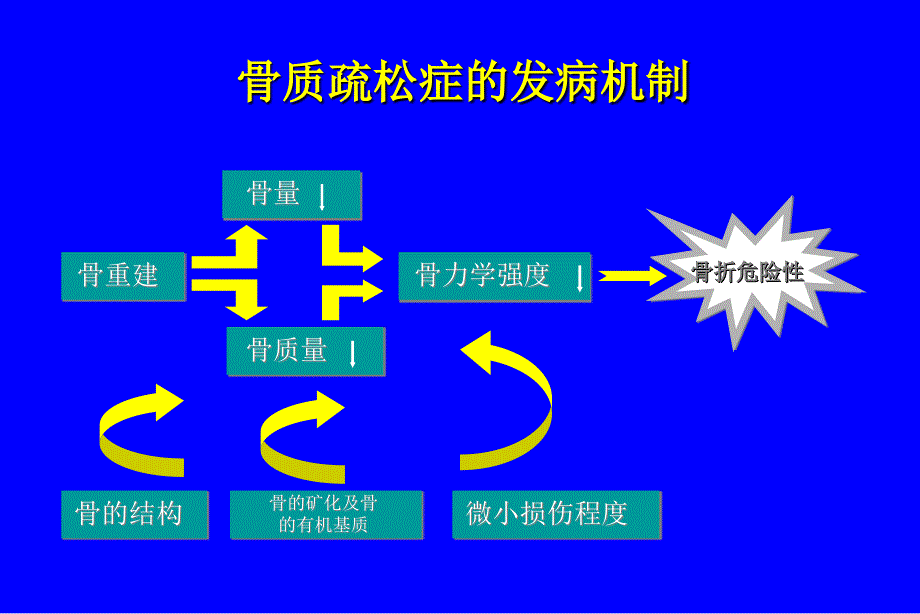 骨质疏松症的基础治疗及防治新动向_第2页