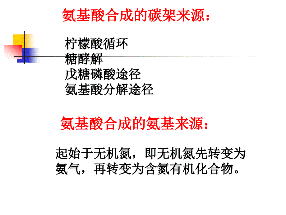 氨基酸的生物合成PPT课件_第2页