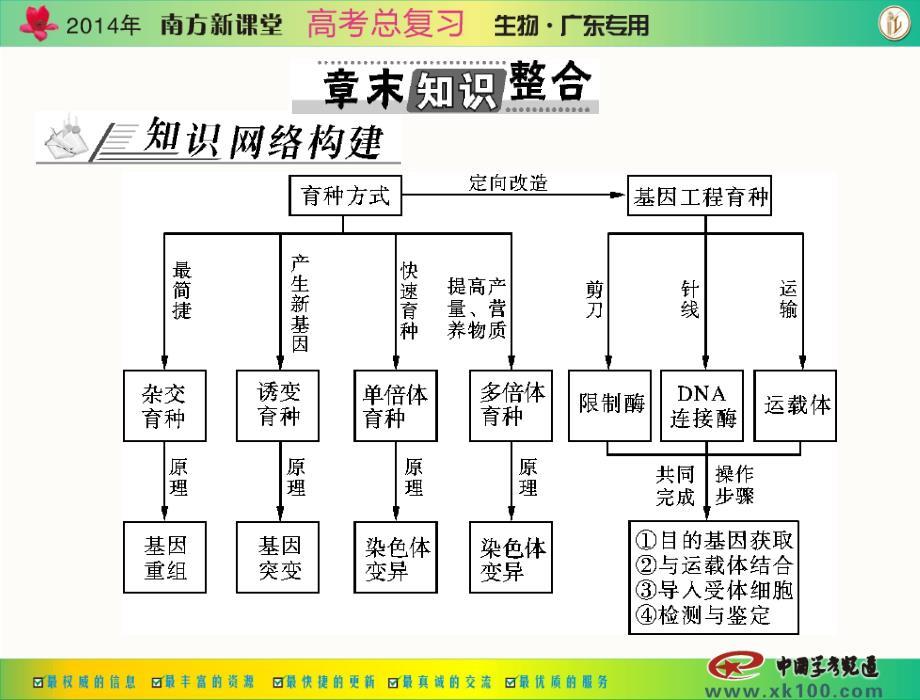 南方新课堂高考总复习生物 配套课件必修2 第6章 章末知识整合