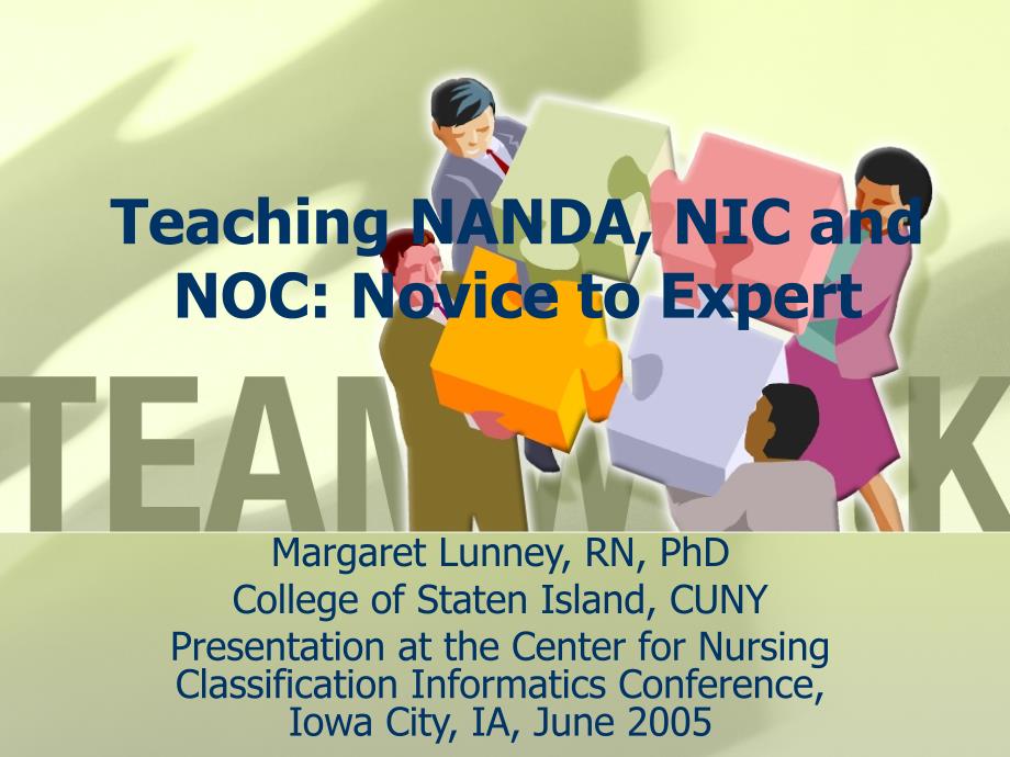 Teaching NANDA, NC and NOC Novice to ExpertWiley教学南达NIC与NOC的新手到专家威利_第1页