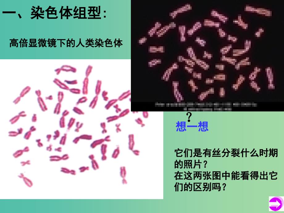 2019高中生物第二章染色体与遗传2.3.1性染色体和伴性遗传的概念课件浙科版必修2 .ppt_第4页