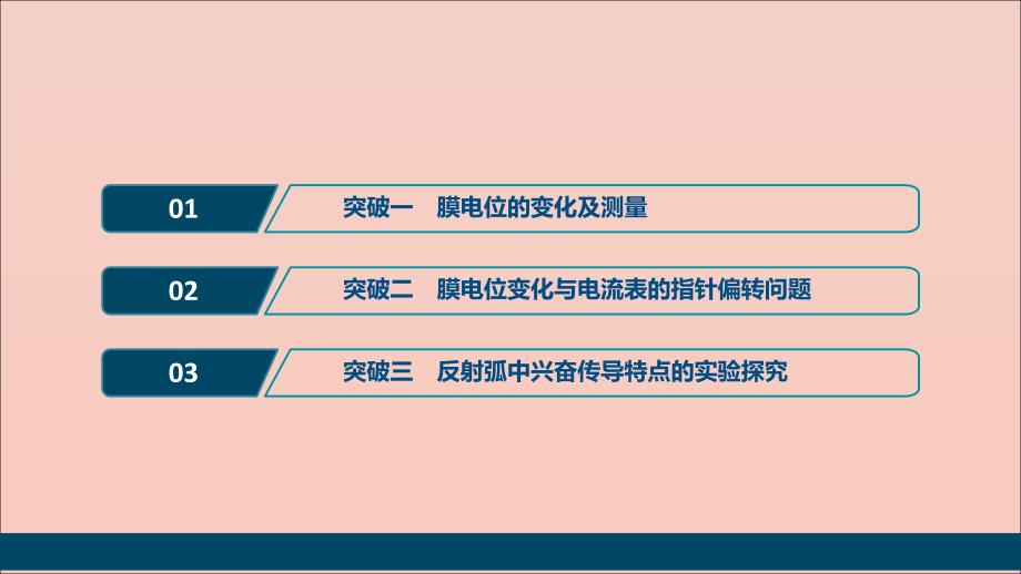 （选考）2021版新高考生物一轮复习 加强提升课（6） 膜电位测定及相关的实验探究课件 新人教版_第2页