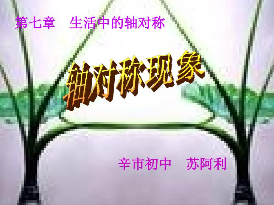 展示课课件（苏阿利）_第1页