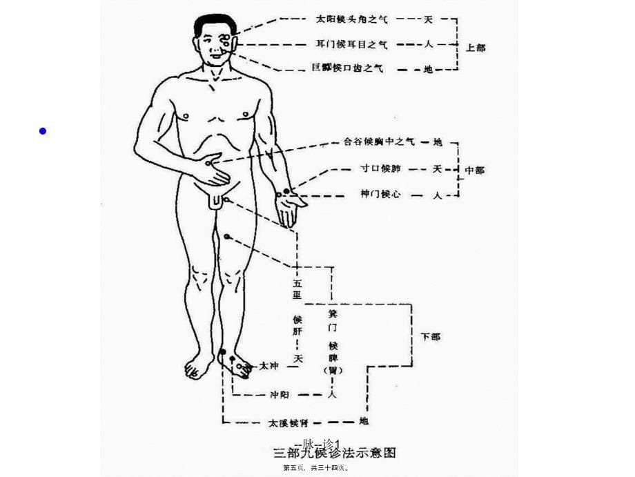 --脉--诊1课件_第5页