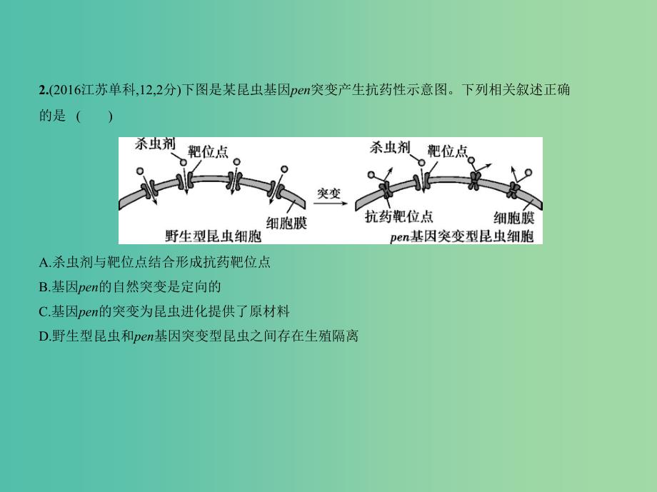 江苏专版2019版高考生物一轮复习专题15生物进化课件.ppt_第3页