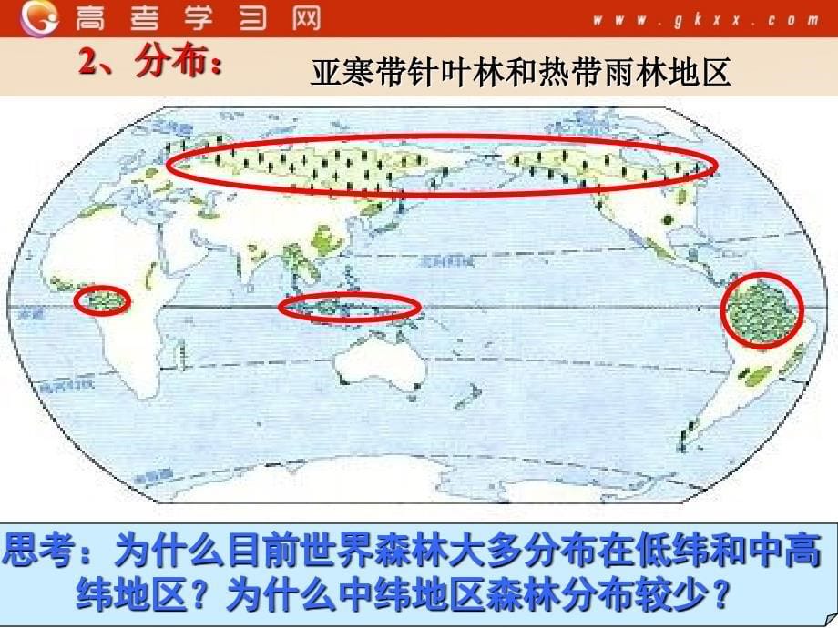 高中地理《森林的开发和保护——以亚马孙热带雨林为例》课件6（39张PPT）（人教版必修3）_第5页