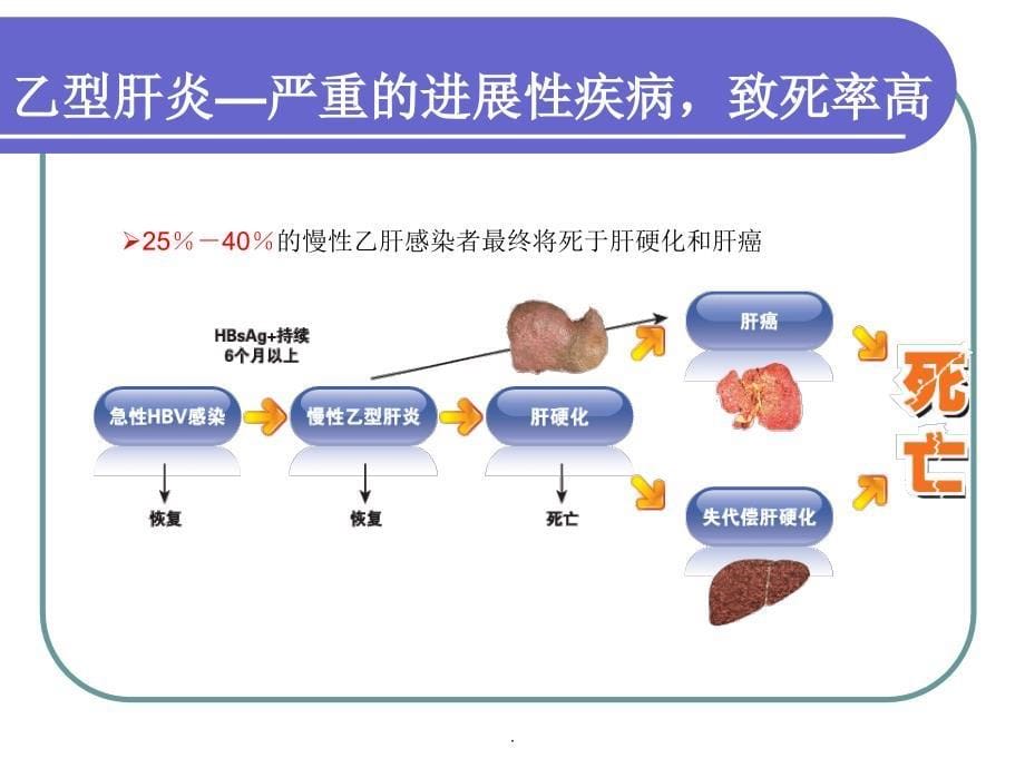 乙肝健康教育_第5页