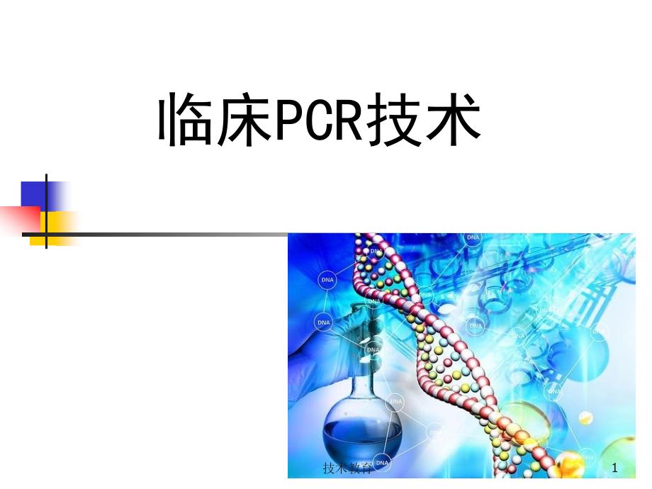 临床PCR检测技术实习生讲课业界精制_第1页