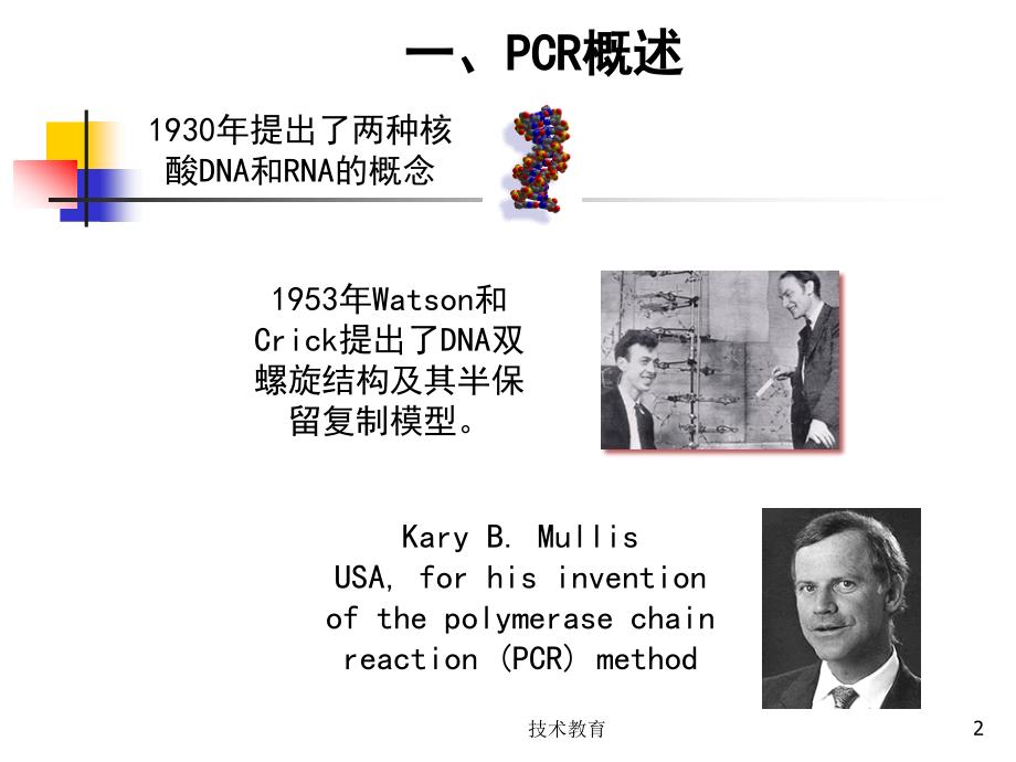 临床PCR检测技术实习生讲课业界精制_第2页